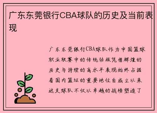广东东莞银行CBA球队的历史及当前表现