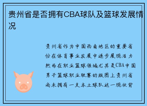 贵州省是否拥有CBA球队及篮球发展情况